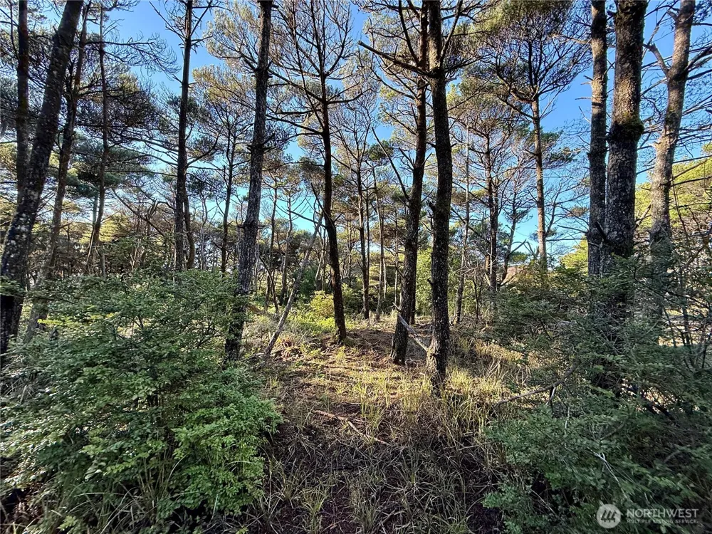 1 XX Strand Street Westport, WA 98595