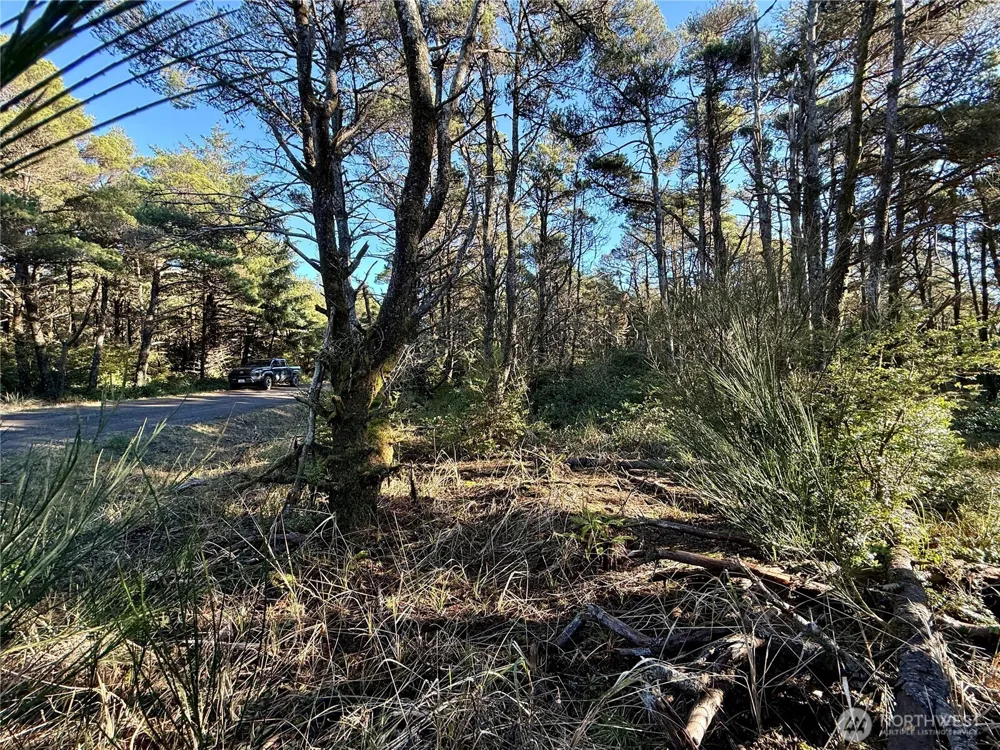 1 XX Strand Street Westport, WA 98595