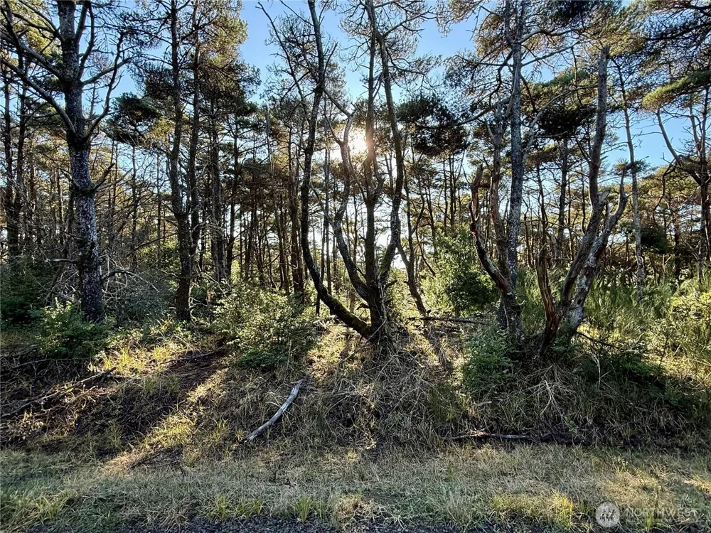 1 XX Strand Street Westport, WA 98595