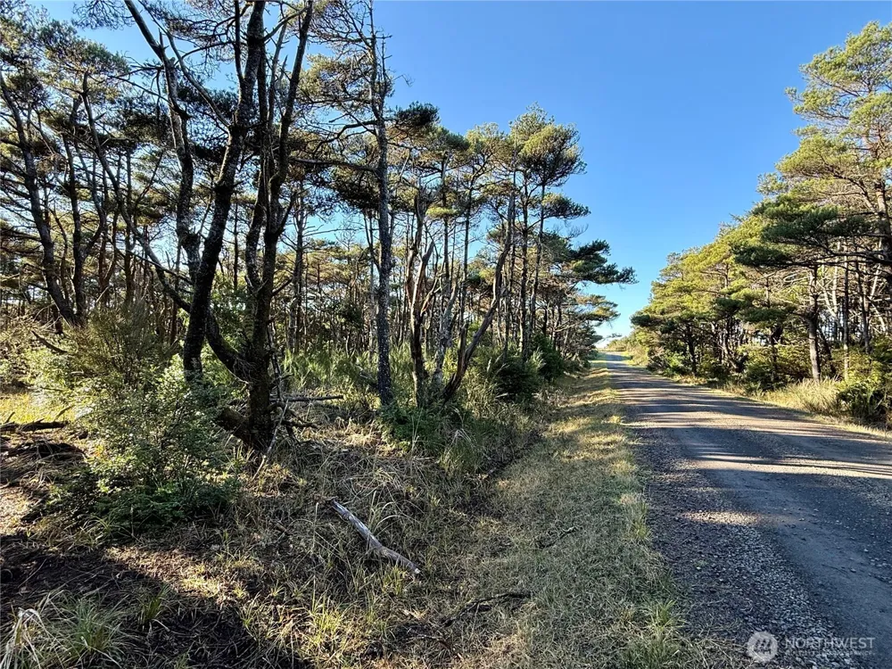 1 XX Strand Street Westport, WA 98595