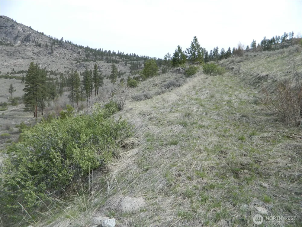 111 TBD Six Gun Way Tonasket, WA 98855