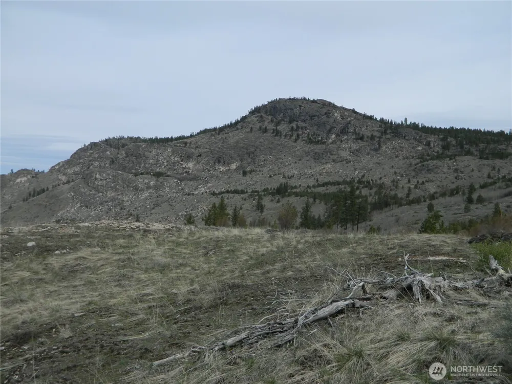111 TBD Six Gun Way Tonasket, WA 98855