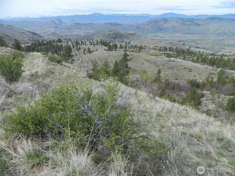111 TBD Six Gun Way Tonasket, WA 98855