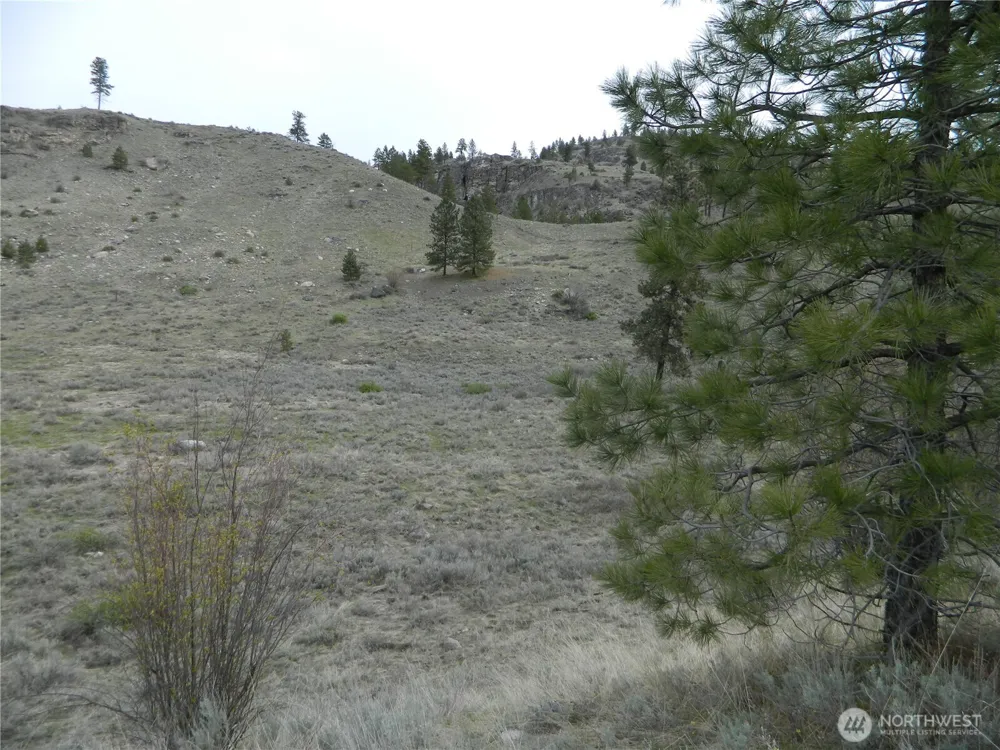 11 TBD Six Gun Way Tonasket, WA 98855