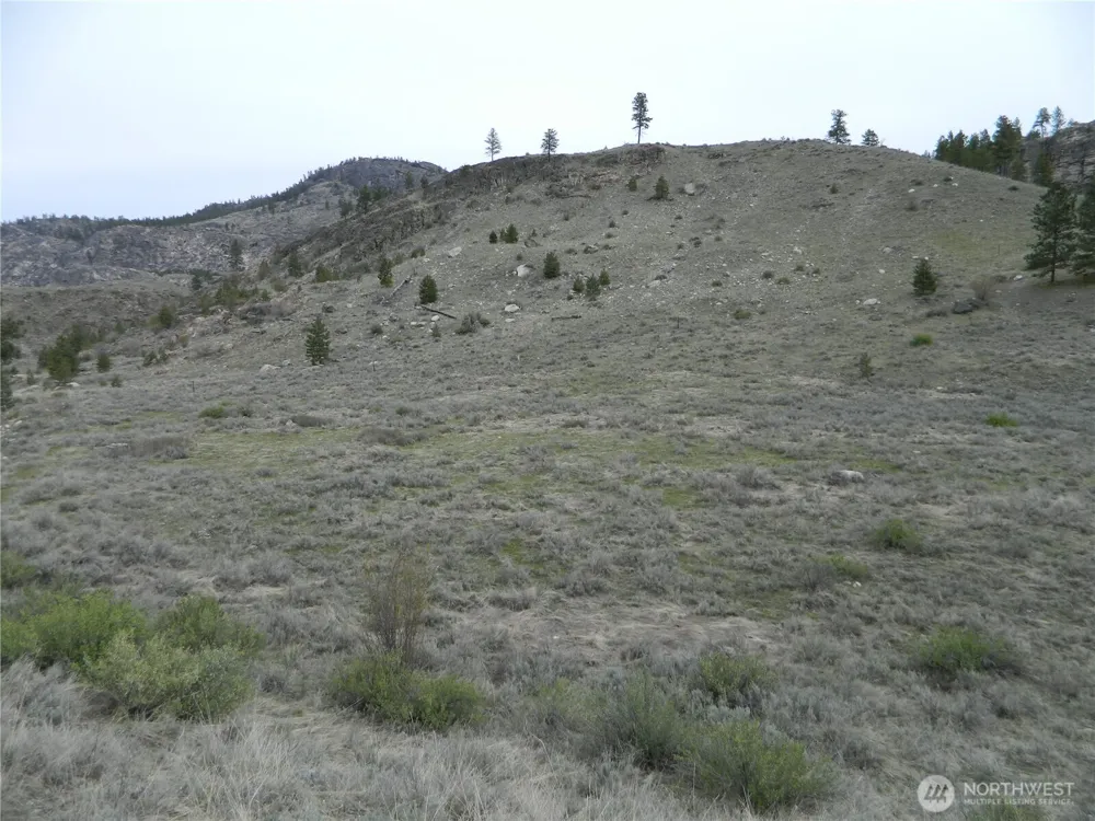 11 TBD Six Gun Way Tonasket, WA 98855