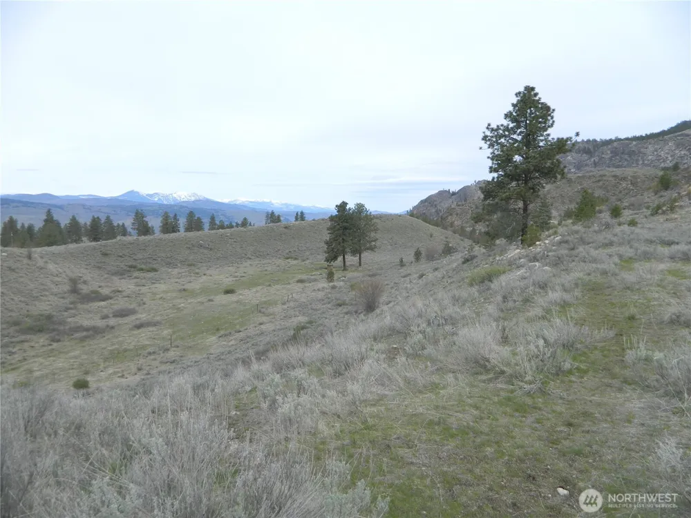 11 TBD Six Gun Way Tonasket, WA 98855