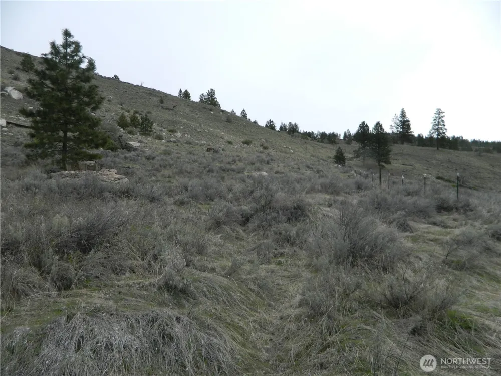 11 TBD Six Gun Way Tonasket, WA 98855