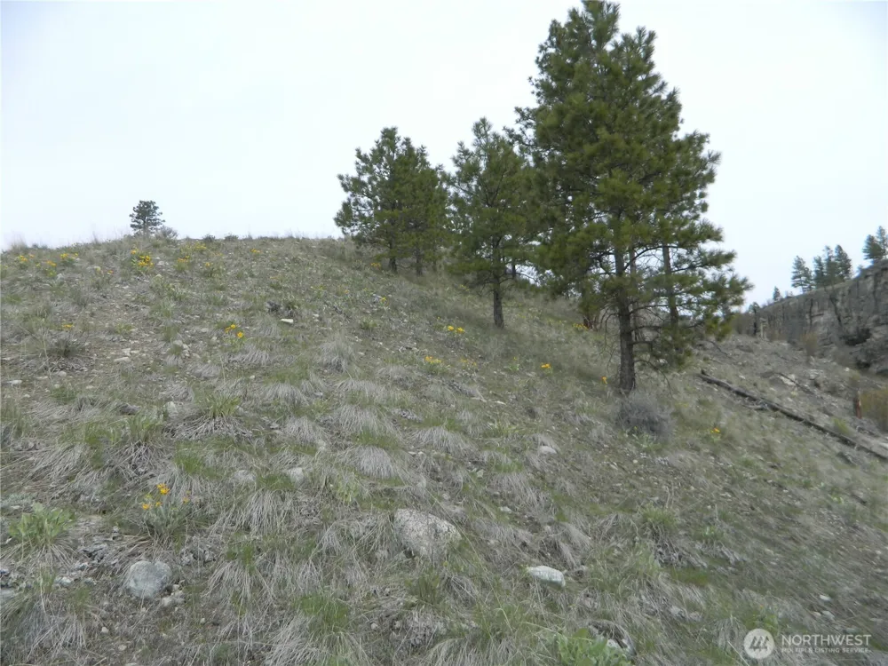 11 TBD Six Gun Way Tonasket, WA 98855
