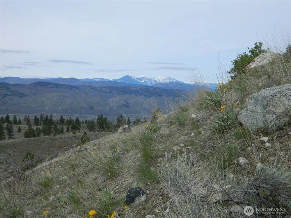 11 TBD Six Gun Way Tonasket, WA 98855