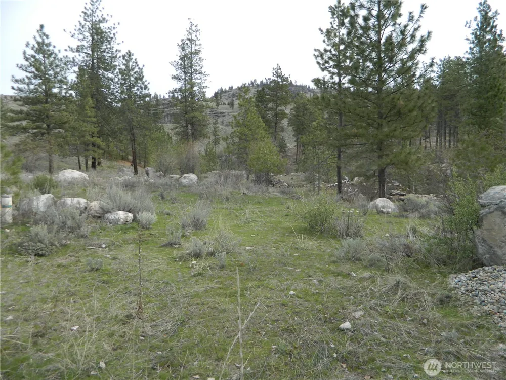 0 TBD Six Gun Way Tonasket, WA 98855