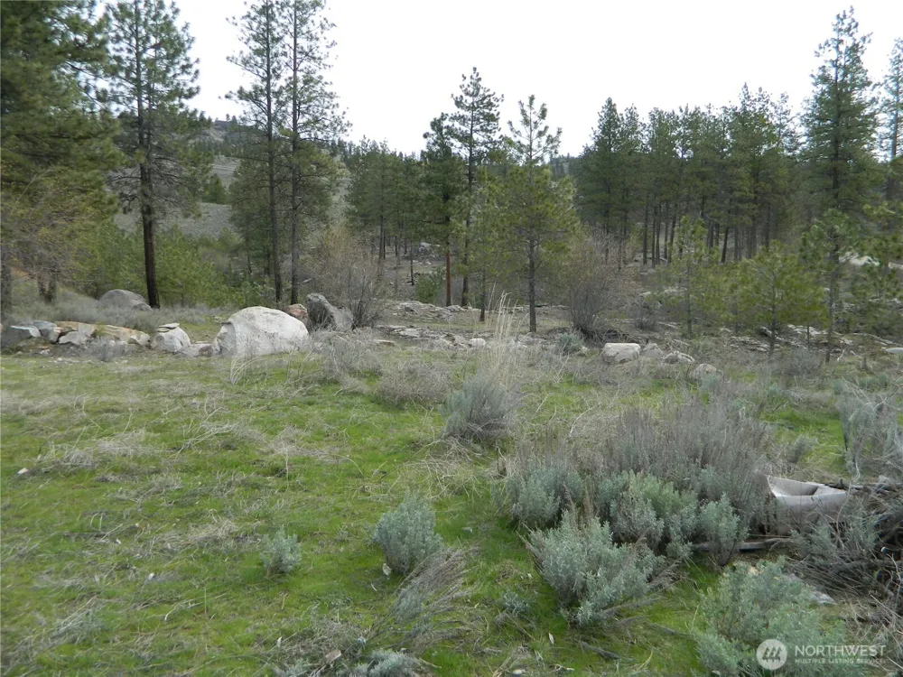 0 TBD Six Gun Way Tonasket, WA 98855