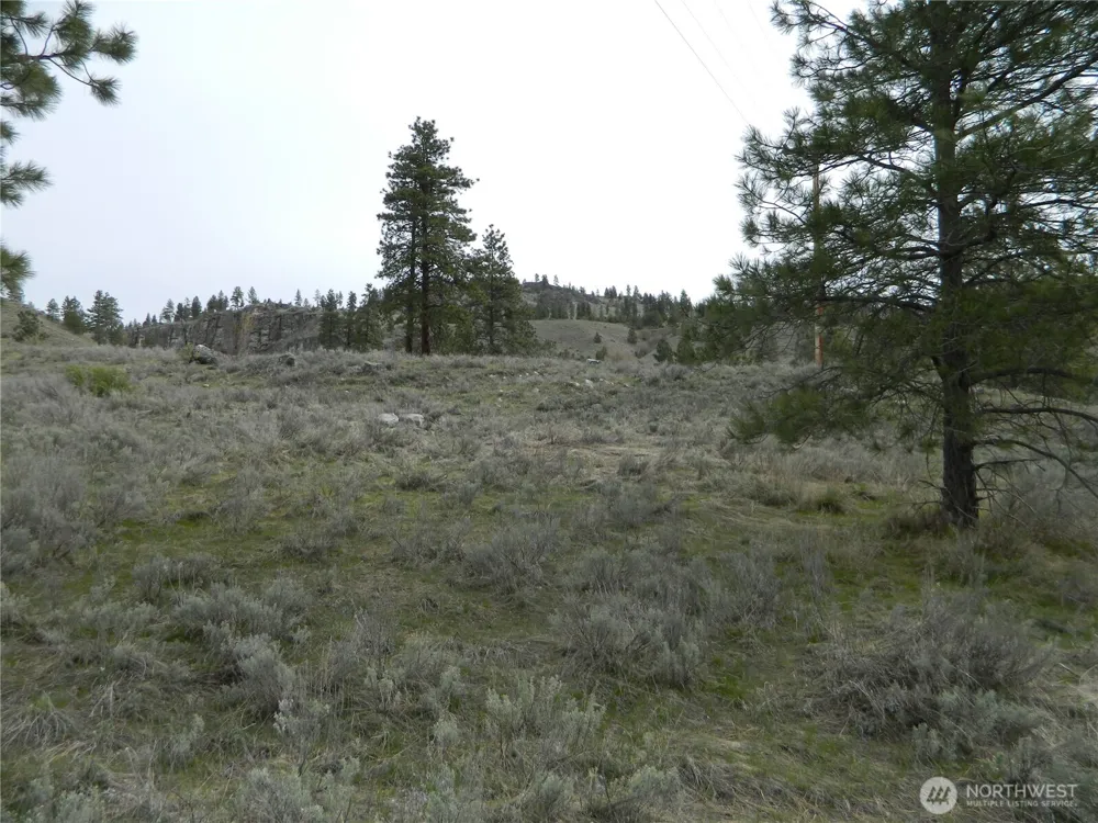 0 TBD Six Gun Way Tonasket, WA 98855