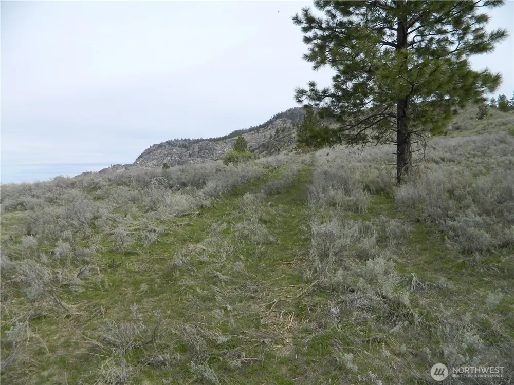 0 TBD Six Gun Way Tonasket, WA 98855