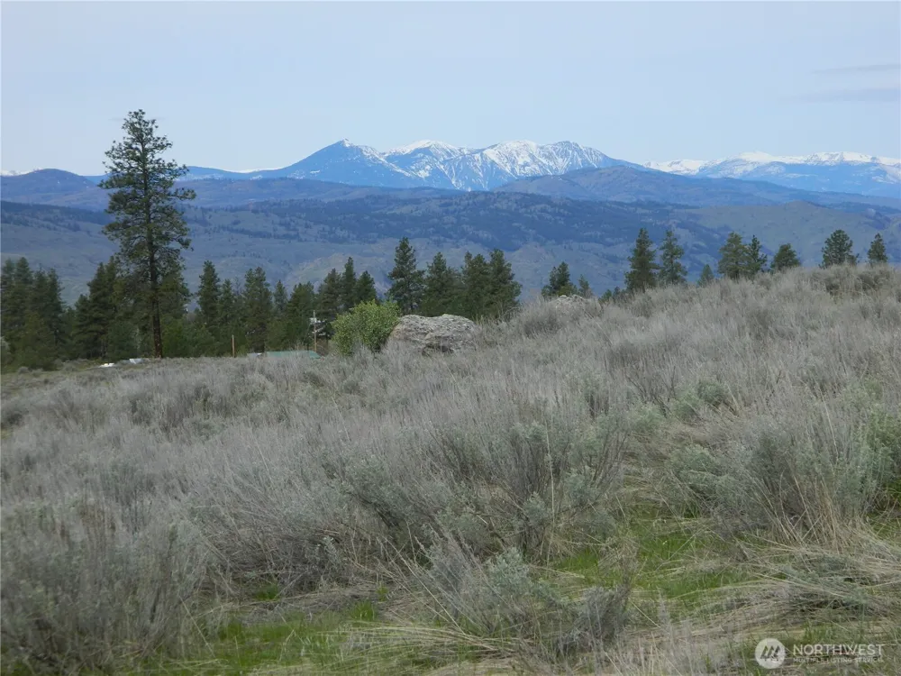 0 TBD Six Gun Way Tonasket, WA 98855