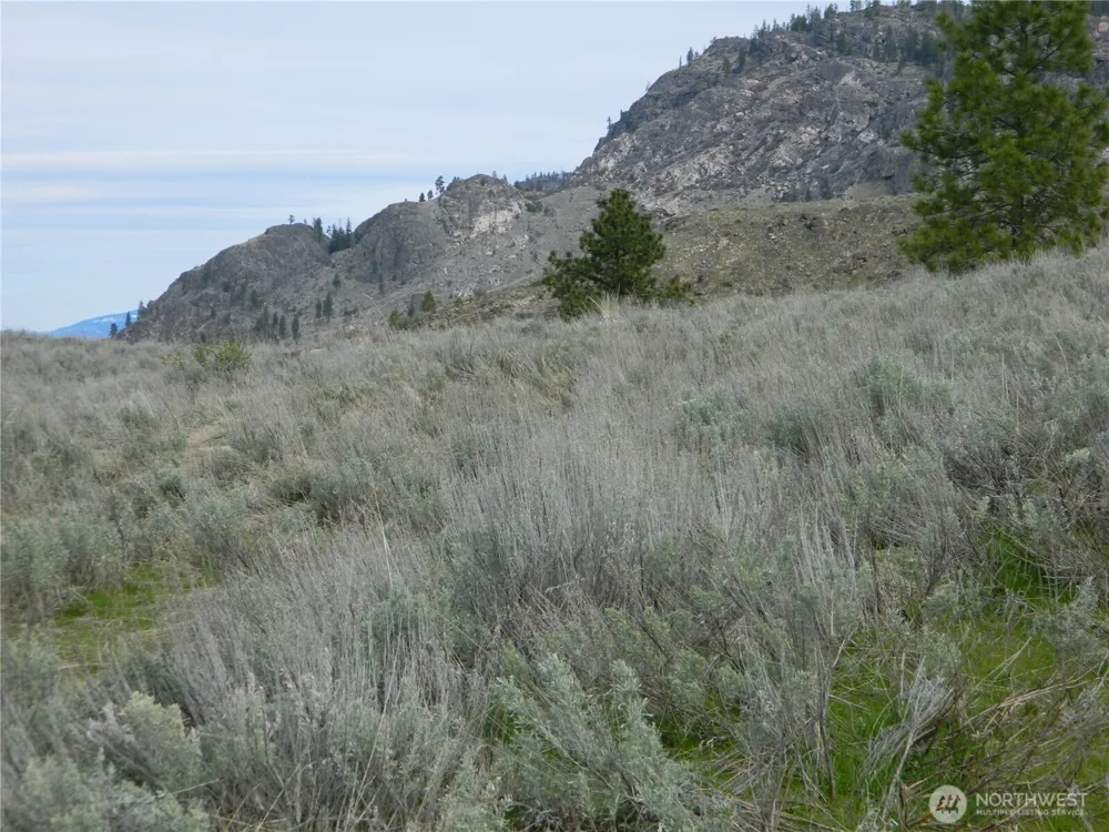 0 TBD Six Gun Way Tonasket, WA 98855