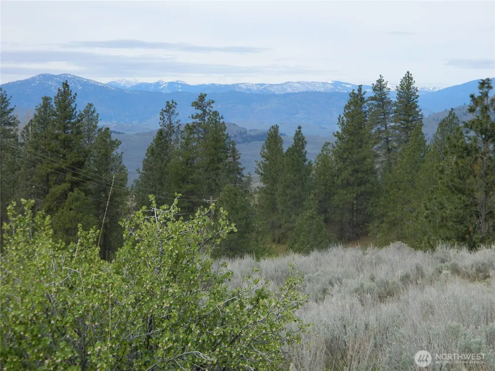 0 TBD Six Gun Way Tonasket, WA 98855