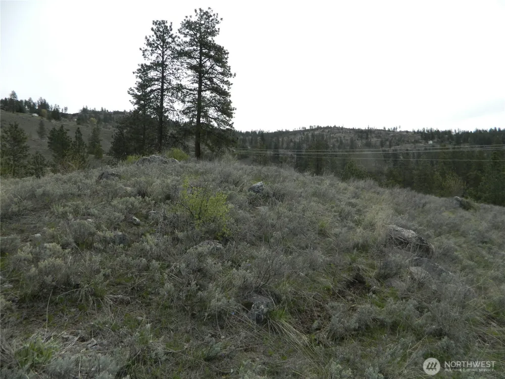 0 TBD Six Gun Way Tonasket, WA 98855