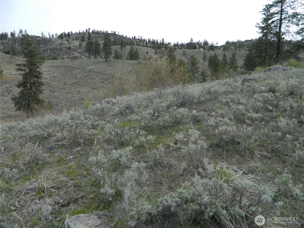 0 TBD Six Gun Way Tonasket, WA 98855
