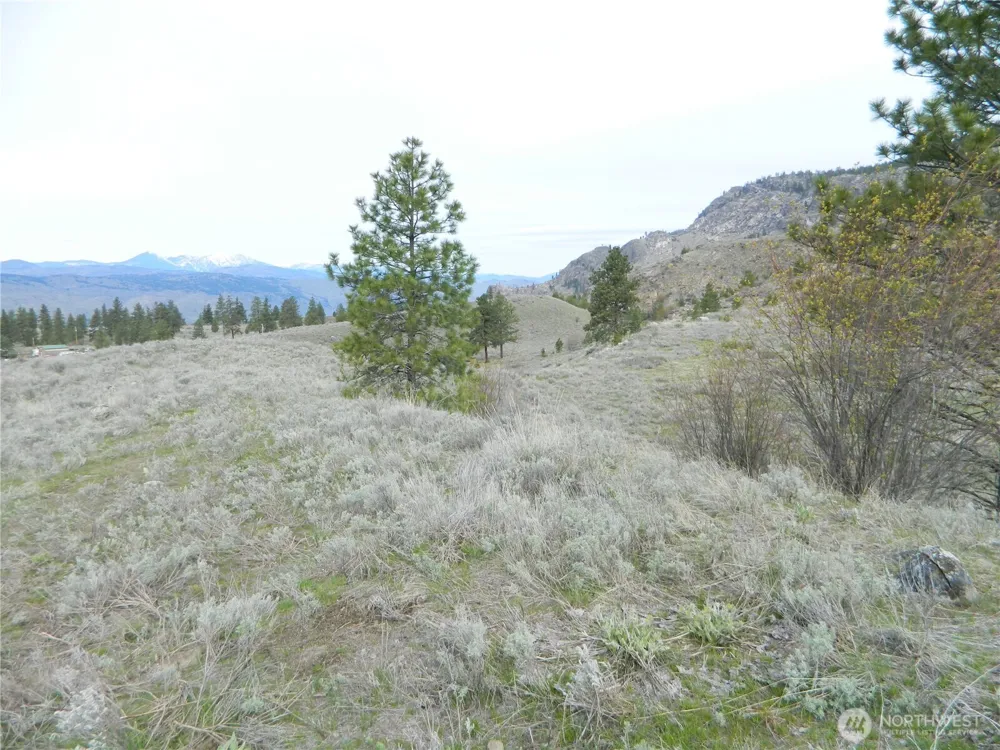 0 TBD Six Gun Way Tonasket, WA 98855