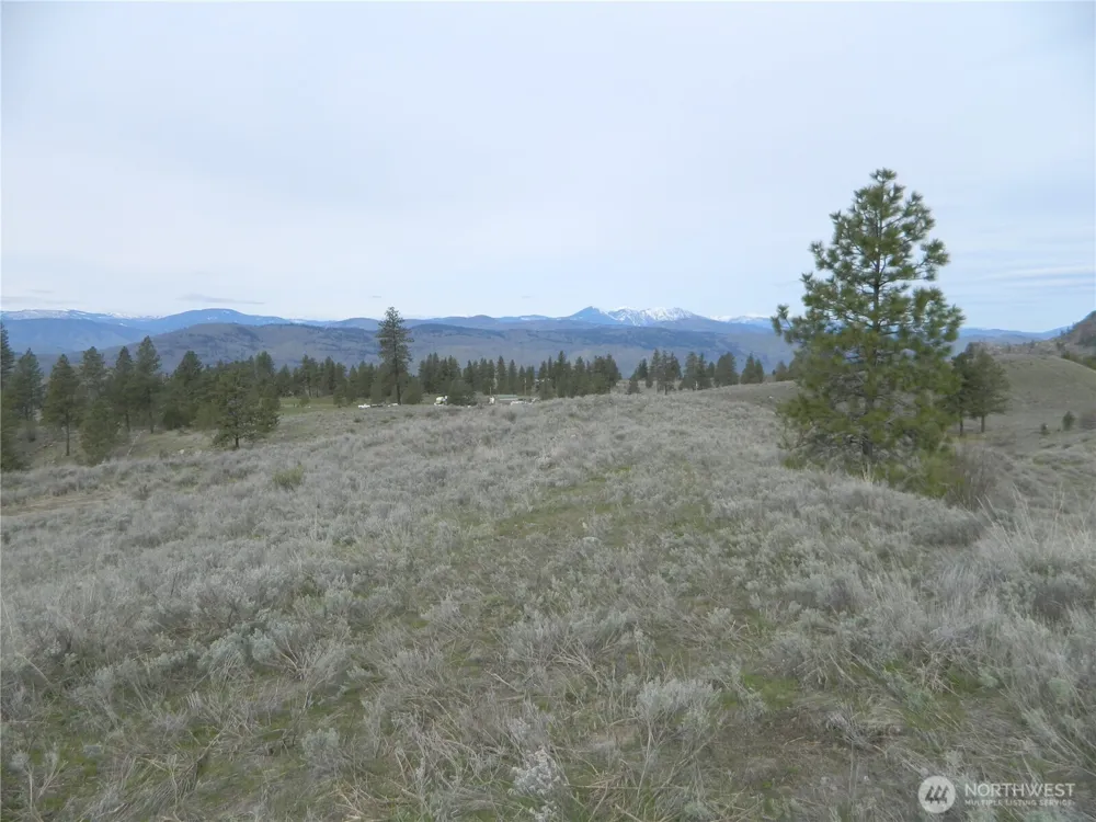 0 TBD Six Gun Way Tonasket, WA 98855