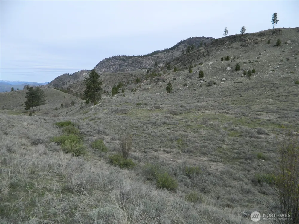 0 TBD Six Gun Way Tonasket, WA 98855