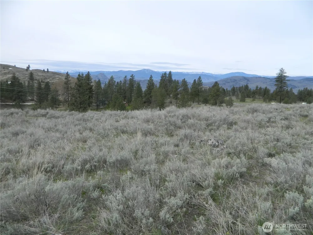 0 TBD Six Gun Way Tonasket, WA 98855