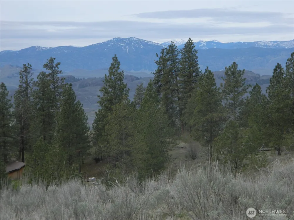 0 TBD Six Gun Way Tonasket, WA 98855