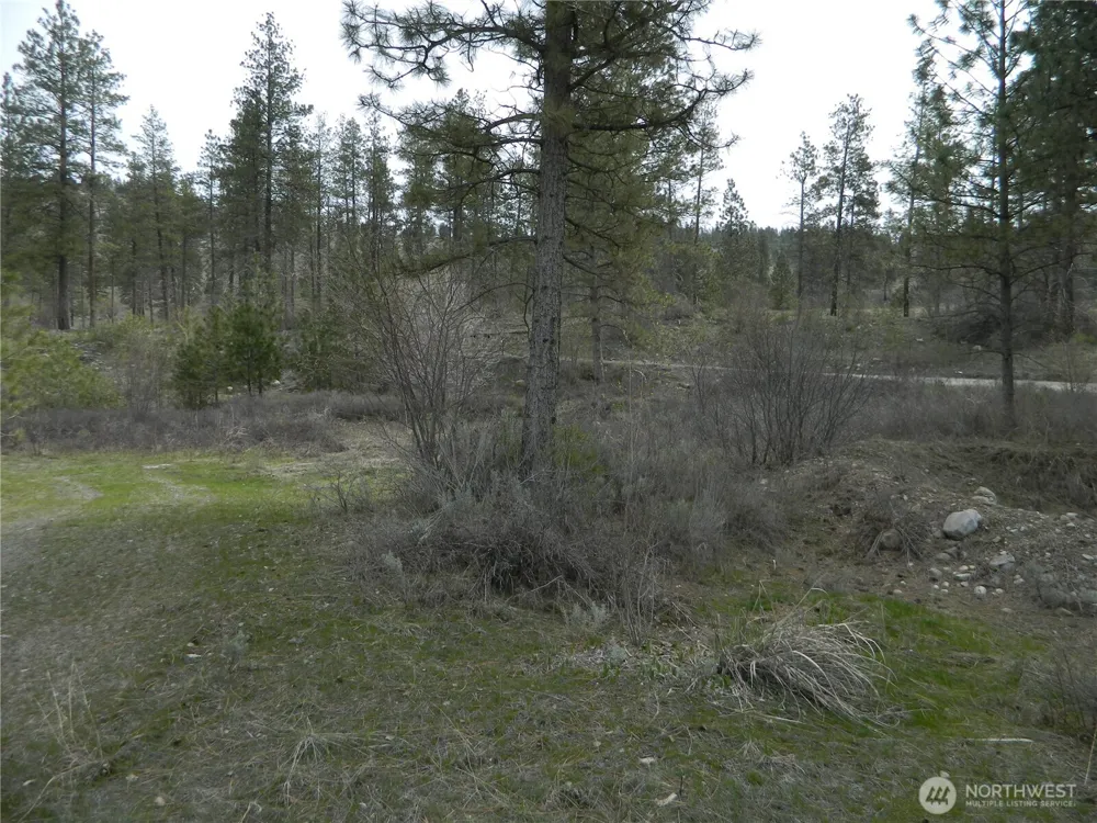 357 Swanson Mill Road Tonasket, WA 98855