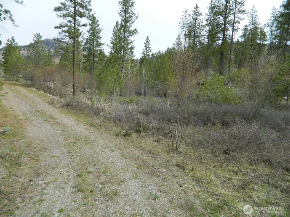 357 Swanson Mill Road Tonasket, WA 98855