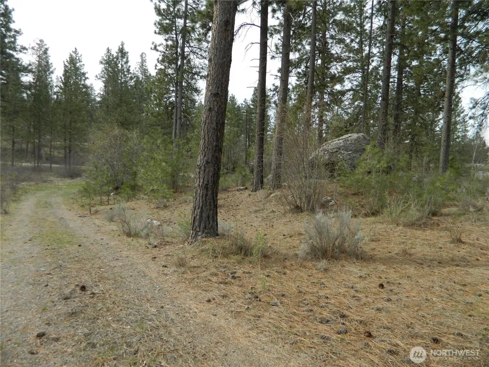 357 Swanson Mill Road Tonasket, WA 98855
