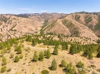 2 Lot Mud Creek Road Entiat, WA 98822