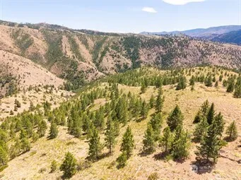 2 Lot Mud Creek Road Entiat, WA 98822