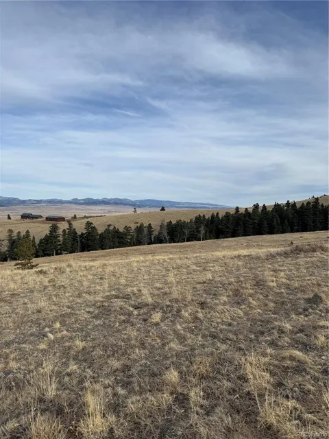 000 Louisiana Ridge