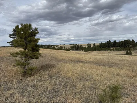 39080 County Road 21