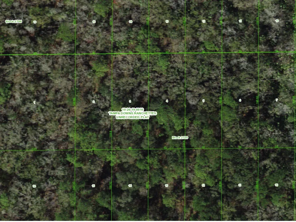 UNASSIGNED Wesley Chapel, FL 33544