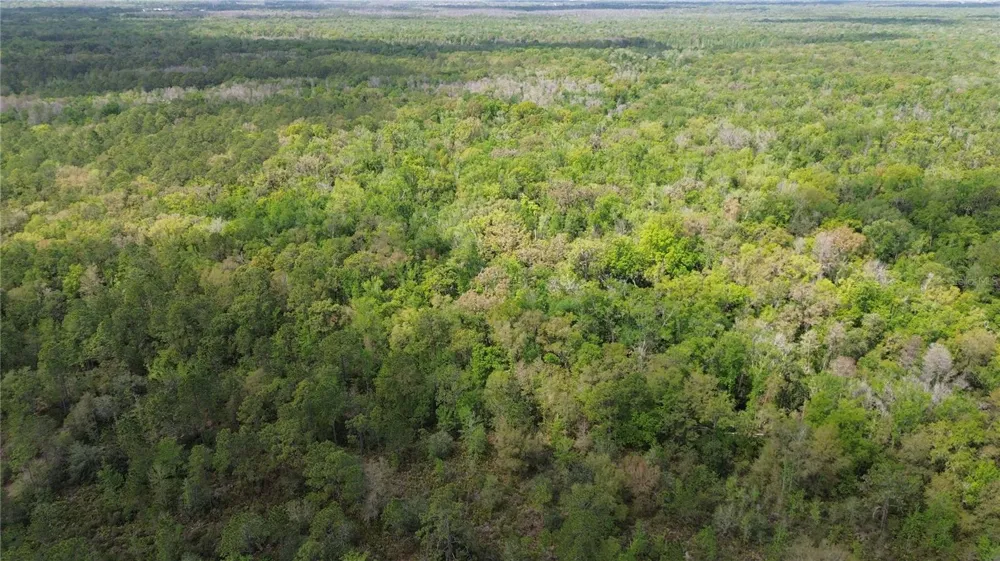 UNASSIGNED Wesley Chapel, FL 33544