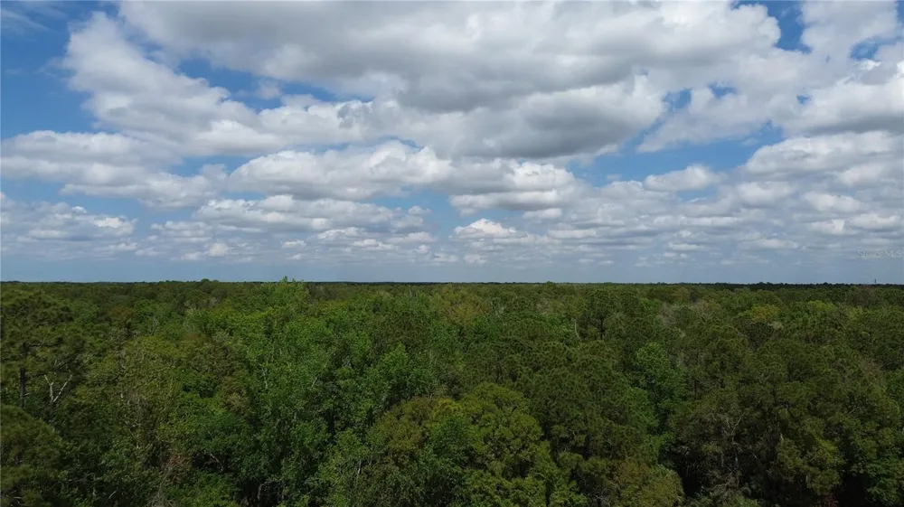 UNASSIGNED Wesley Chapel, FL 33544