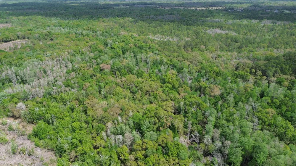 UNASSIGNED Wesley Chapel, FL 33544