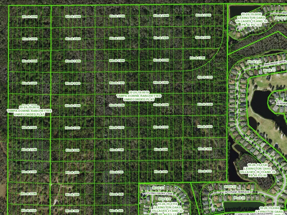 UNASSIGNED Wesley Chapel, FL 33544