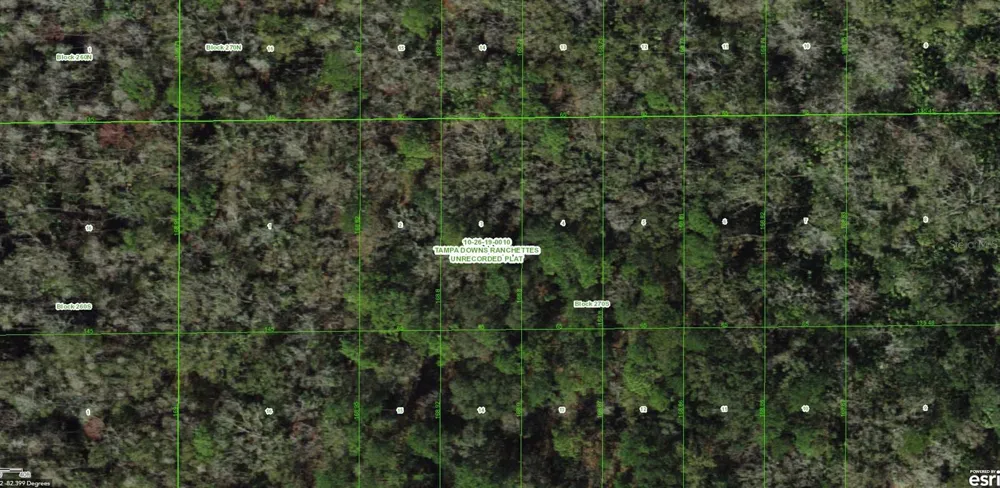 UNASSIGNED Wesley Chapel, FL 33544