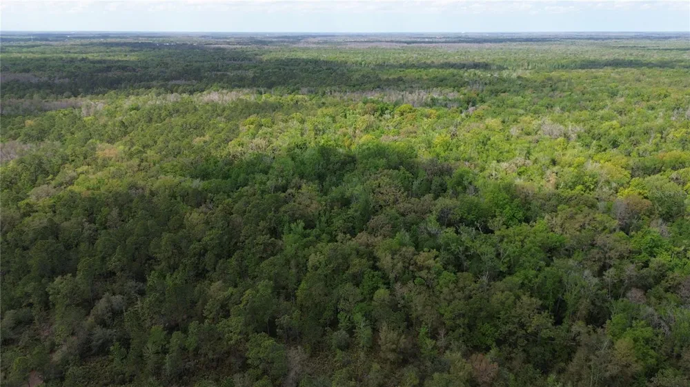 UNASSIGNED Wesley Chapel, FL 33544