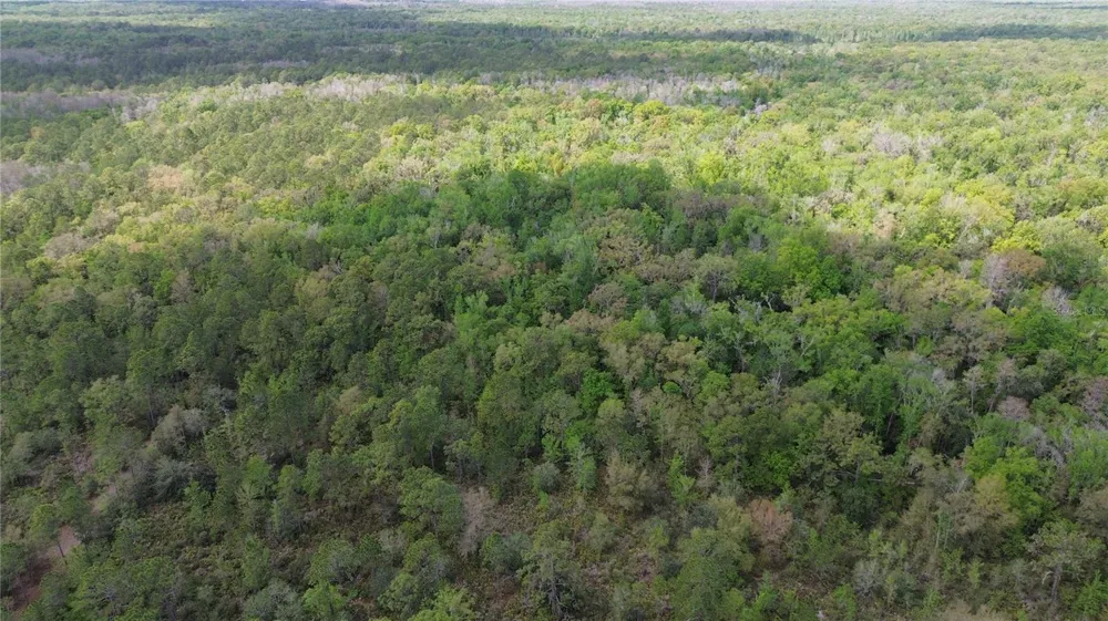UNASSIGNED Wesley Chapel, FL 33544