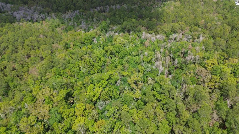 UNASSIGNED Wesley Chapel, FL 33544
