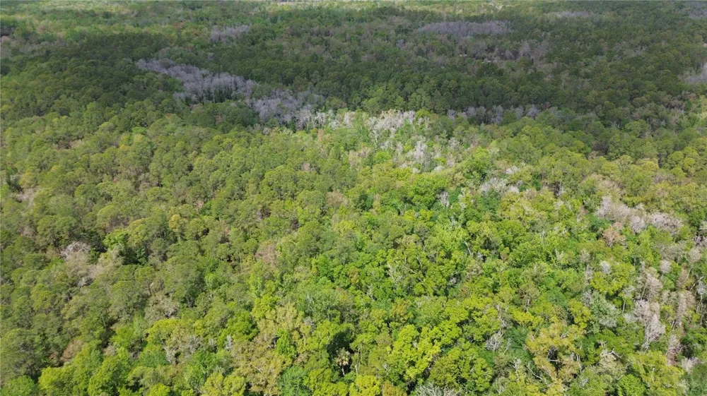 UNASSIGNED Wesley Chapel, FL 33544