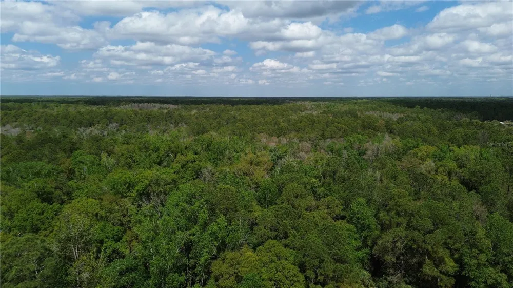 UNASSIGNED Wesley Chapel, FL 33544