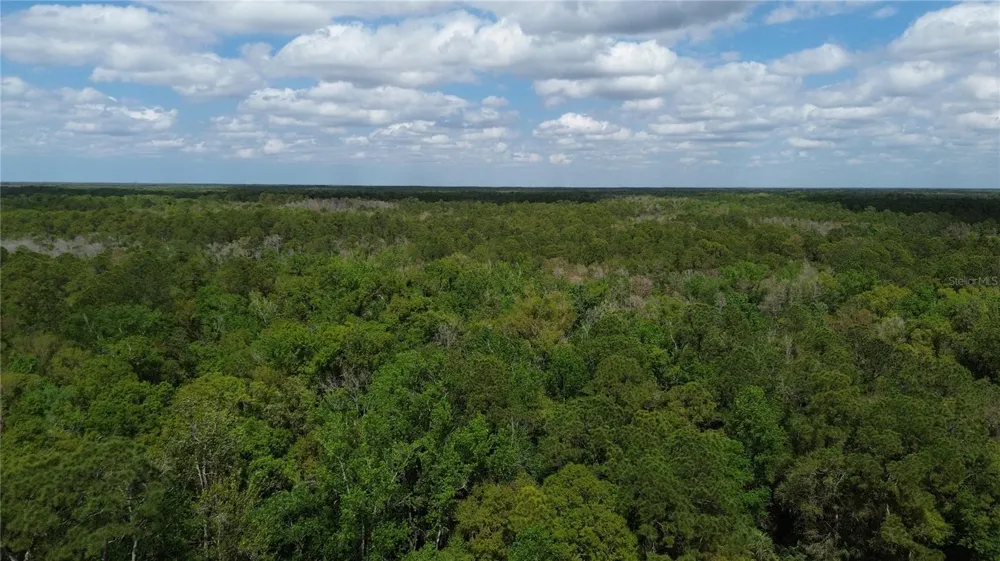 UNASSIGNED Wesley Chapel, FL 33544