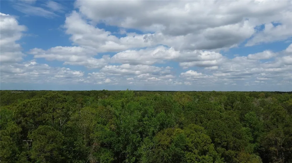 UNASSIGNED Wesley Chapel, FL 33544