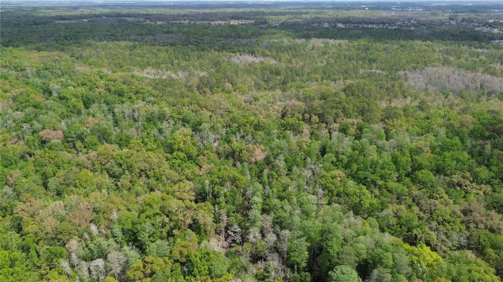 UNASSIGNED Wesley Chapel, FL 33544