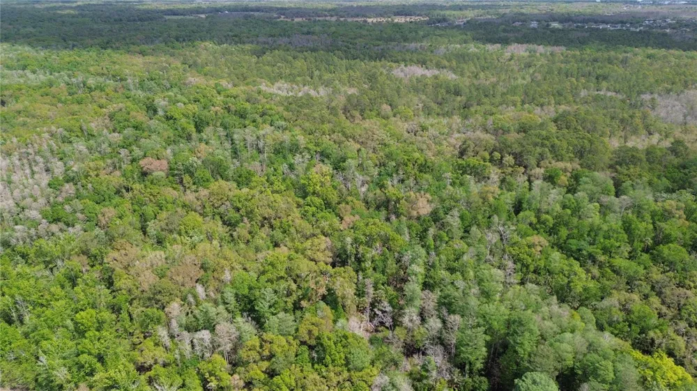 UNASSIGNED Wesley Chapel, FL 33544