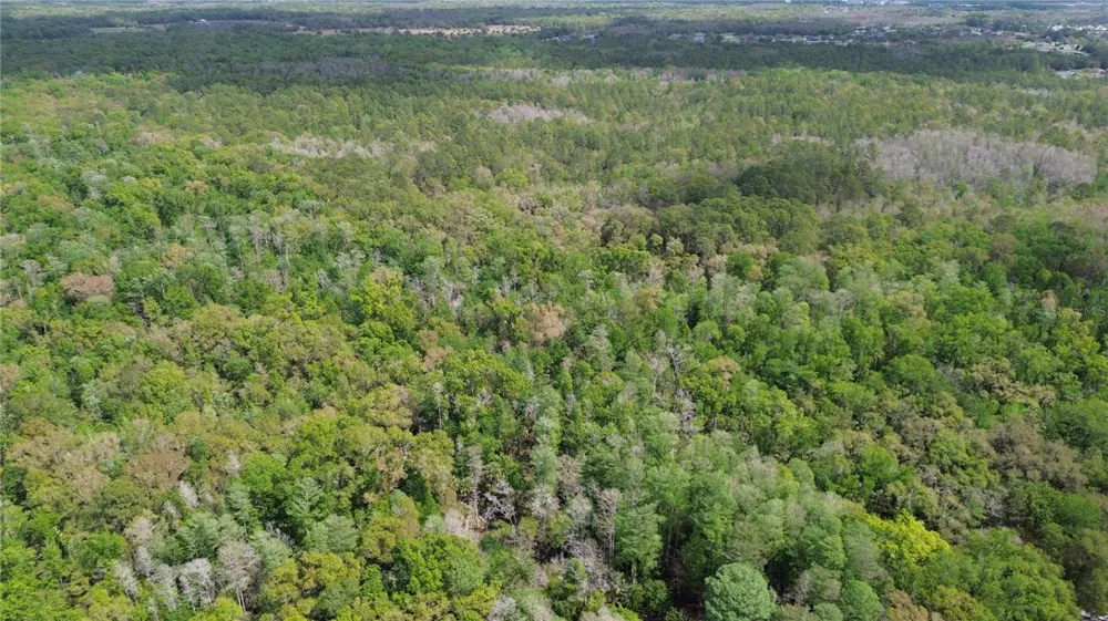 UNASSIGNED Wesley Chapel, FL 33544